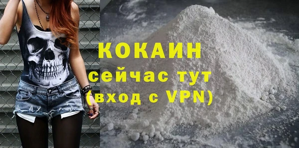 ГАЛЛЮЦИНОГЕННЫЕ ГРИБЫ Пересвет