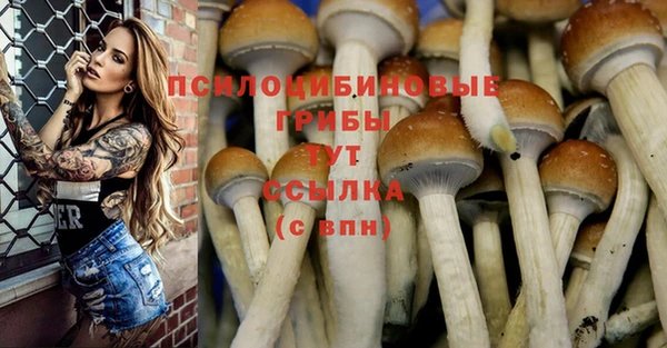 кокс Осташков