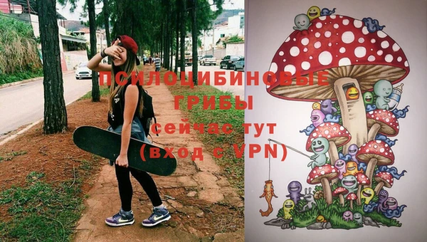 ГАЛЛЮЦИНОГЕННЫЕ ГРИБЫ Пересвет