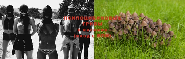 МДПВ Пестово