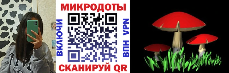 Галлюциногенные грибы MAGIC MUSHROOMS  Суоярви 